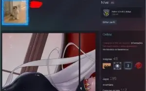 Conta steam com mais de 190 jogos lvl 85