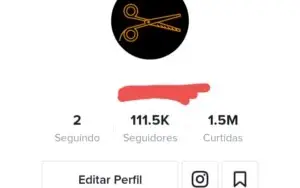 CONTA DO TIKTOK COM MAIS DE 100 MIL SEGUIDORES