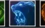 Conta de League of Legends Platina IV