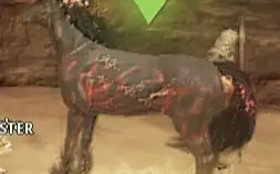 Cavalo Lendário com status únicos Black Desert SA