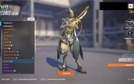 Rare Blizzard Account With Many Skins [Overwatch 2|WOW|+...]
