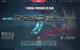 Conta com diversas skins valorant