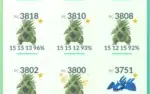 Conta Pokémon go lvl 40, Sem Risco de Ban, Compra Segura.