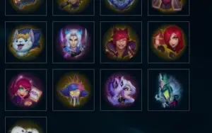 MONO KAYN D4