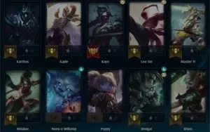 MONO KAYN D4