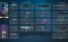 Conta Valorant R$300,00 (em skins) gastos