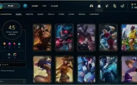 Conta levei 49 com 45 skins