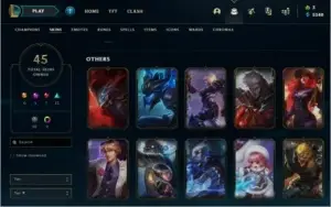 Conta levei 49 com 45 skins
