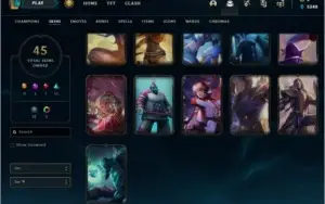 Conta levei 49 com 45 skins