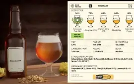 Xbox Brewmaster: Beer Brewing Simulator #C19158