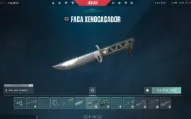 Conta Valorant 1k800 gastos Platina 2