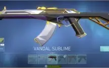 VALORANT - 5 FACAS - 2 MIL EM SKINS