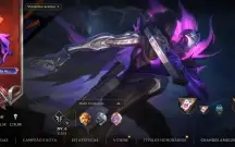 Conta WR platina 46 skins