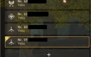 CONTA BLACK DESERT WIZARD 61 269 KUTUM + P2W