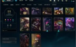 PLATINA 2 QUASE FULL CHAMP