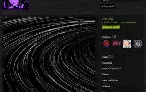 Conta steam nivel 29 700+ csgo 600 horas r6 2 skins e prime