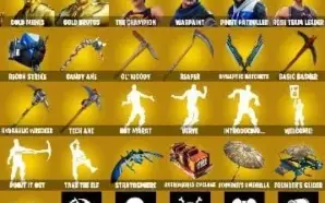 Conta Fortnite Antiga(Promoção)