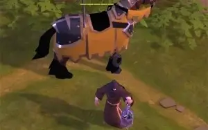 albion conta
