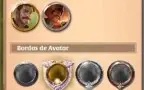 albion conta