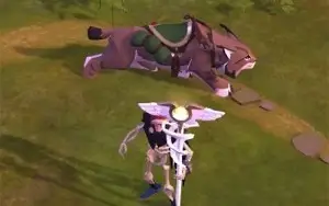 albion conta
