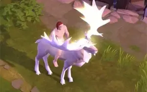 albion conta