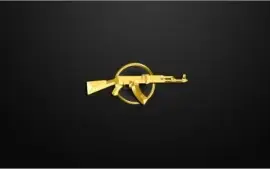 Conta csgo ak1/prime/+medalha 2019+steam lvl 12 /+209wins