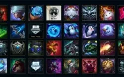 Vendo conta Diamond