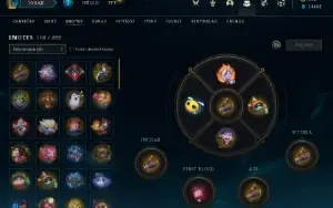 Conta Valorant e LoL, Skins Raras e Eventos.