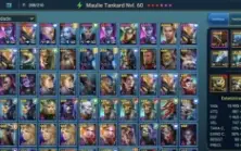 Raid Shadow Legends conta lvl 79 com 51 lendarios