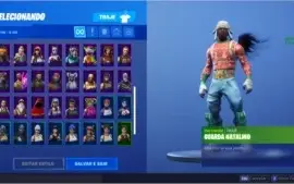 Fortnite com 68 Skins