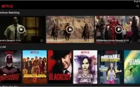 Netflix Premium ( CONTA VITALICIA )