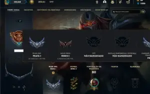 Ferro 1 com 47 Champs e 12 Skins