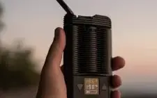 Vaporizador de Ervas Mighty | Storz & Bickel