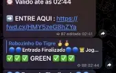 Robô De Slotes 100%🐯⭐️ Fortune Trigre