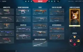 Conta Valorant Muitas Skins Ex Dima2