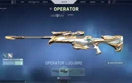 CONTA VALORANT MUITAS SKINS