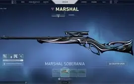 CONTA VALORANT MUITAS SKINS