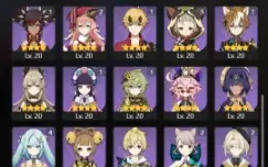 Star Rail 12T5 + Genshin 17T5, Eula + Bis, Yoimiya+Bis,Hutao