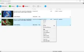 Any Video Downloader Pro 2023