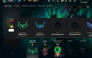 Esmeralda 1 com 95 Champs e 15 Skins