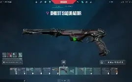 conta valorant 900 reais GASTOS!