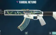 CONTA VALORANT NVL 242 SKIN RARA