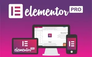 Elementor Pro Vitalício + Templates Bônus