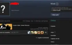 Conta Steam com CSGO PRIME medalha de lealdade