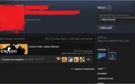 CONTA CS:GO 100HRS - Águia 1 - 55 Vitórias - Com Prime!