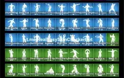 CONTA FORTNITE (+100 Skins / Ikonik, Minty e etc)