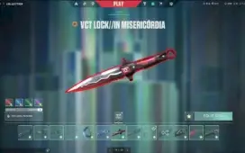 Conta Valorant - Lvl 304 (+ de 5K E 600 GASTOS)