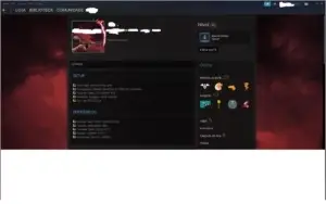 CONTA CS GO MUITAS MEDALHAS PARA FAZER DE MAIN