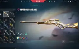 vendo conta valorant com diversas skins