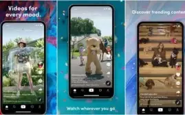 Tik Tok Premium, tudo desbloqueado!!